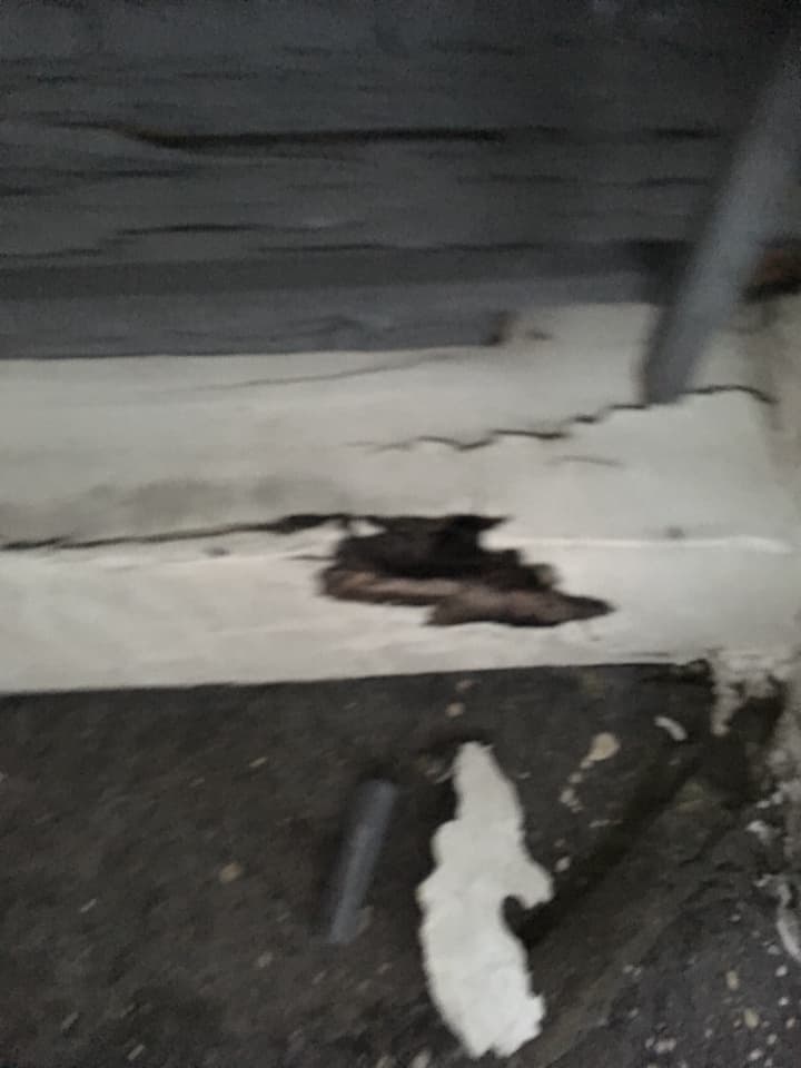 Houtrot herstel — professionele reparatie van kozijnen en houtwerk